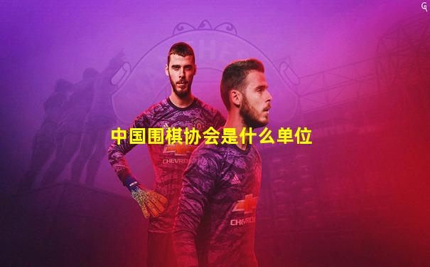 中国围棋协会是什么单位
