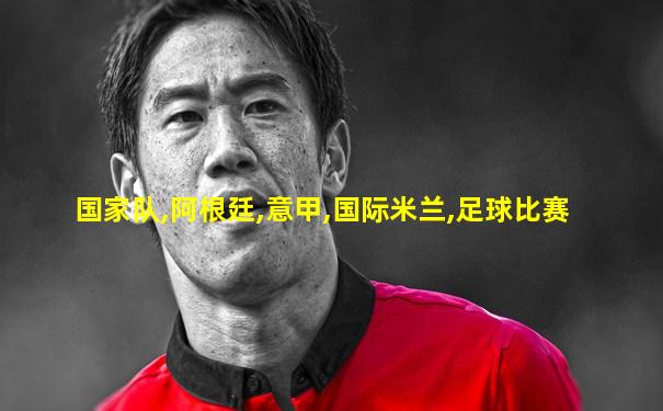 国家队,阿根廷,意甲,国际米兰,足球比赛