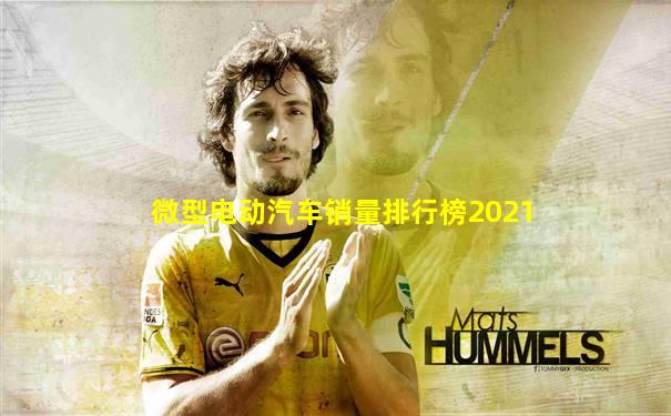 微型电动汽车销量排行榜2021