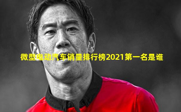 微型电动汽车销量排行榜2021第一名是谁