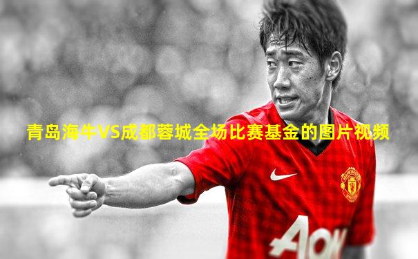 青岛海牛VS成都蓉城全场比赛基金的图片视频