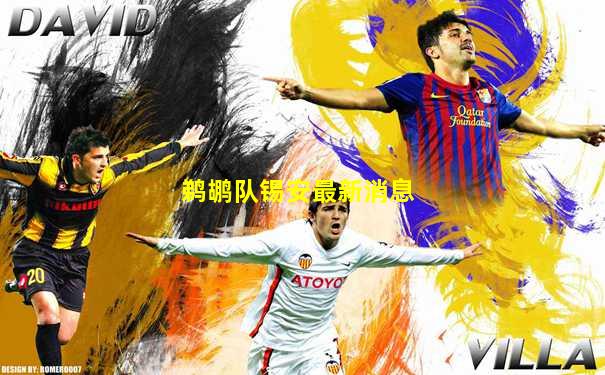 鹈鹕队锡安最新消息