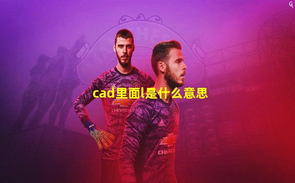 cad里面l是什么意思