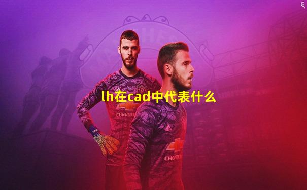 lh在cad中代表什么