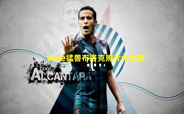 wwe猛兽布洛克照片大全图
