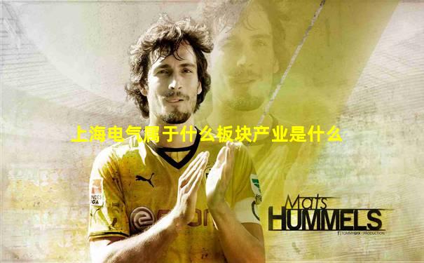 上海电气属于什么板块产业是什么