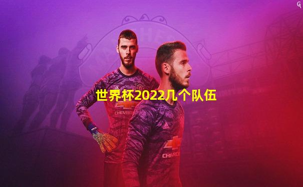 世界杯2022几个队伍