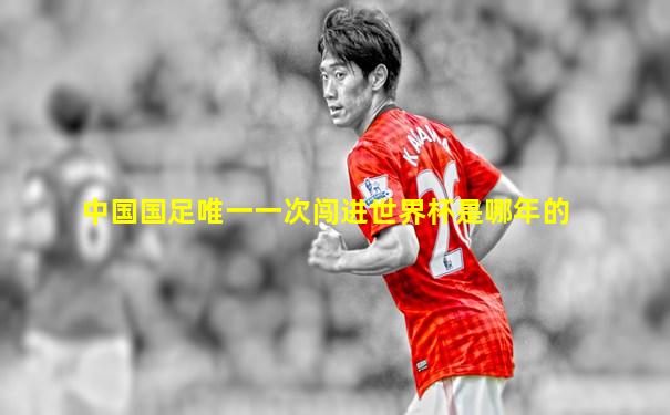 中国国足唯一一次闯进世界杯是哪年的