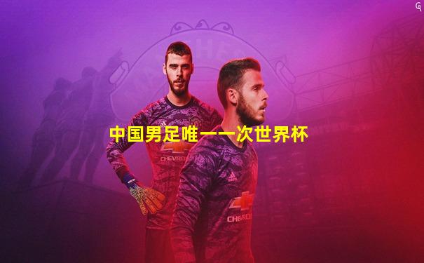 中国男足唯一一次世界杯