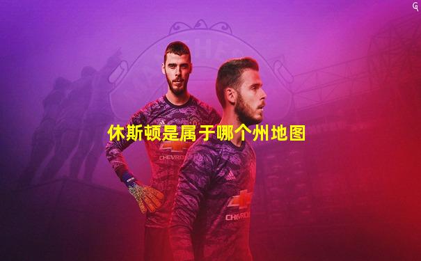 休斯顿是属于哪个州地图