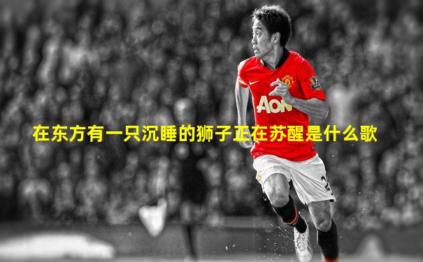 在东方有一只沉睡的狮子正在苏醒是什么歌