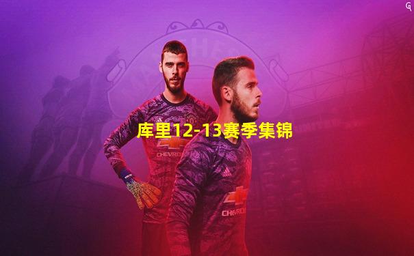 库里12-13赛季集锦