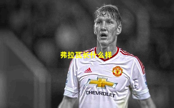 弗拉瓦长什么样