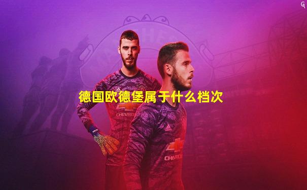 德国欧德堡属于什么档次