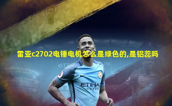 雷亚c2702电锤电机怎么是绿色的,是铝蕊吗
