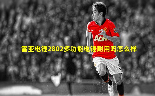 雷亚电锤2802多功能电锤耐用吗怎么样