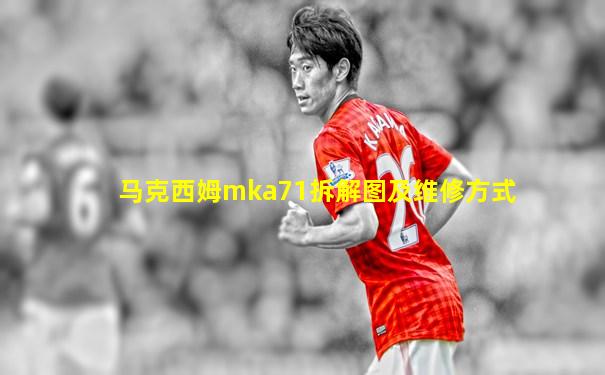 马克西姆mka71拆解图及维修方式